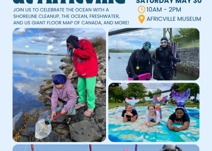 Thumbnail for the post titled: Ocean Week at Africville