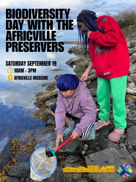 🌿 Biodiversity Days with the Africville Preservers! 🌊
Calling all youth ages 12–18! Join us for hands-on environmental exploration and exciting underwater experiences.
Biodiversity Days (10:00 AM – 3:00 PM)
📅 Saturday, September 19
📅 Saturday, October 17
Discover Scuba Sessions (6:00 PM)
🤿 Sunday, November 22
🤿 Wednesday, December 9
Spots are limited—sign up A.S.A.P. to save your place. We can't wait to see you there!